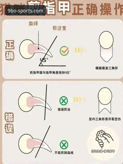 九博体育观赛投注实用技巧：从数据到实操的全流程指南